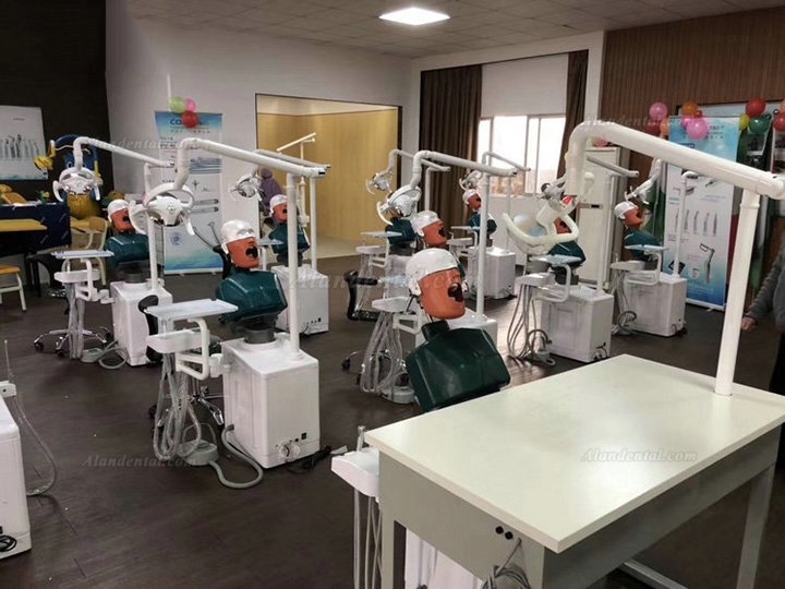 Jingle JG-A2 Dental Student Training Solution Surgery Practice Simulation Unit Compatible with Nissin Kilgore/Frasaco
